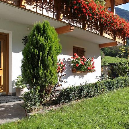 Haus Kofler Apartment Casateia Exterior photo